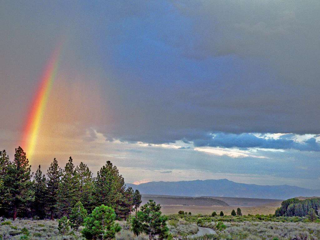 Rainbow spike, Long Valley