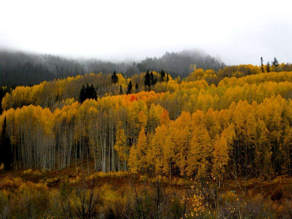 Clouds and Aspen