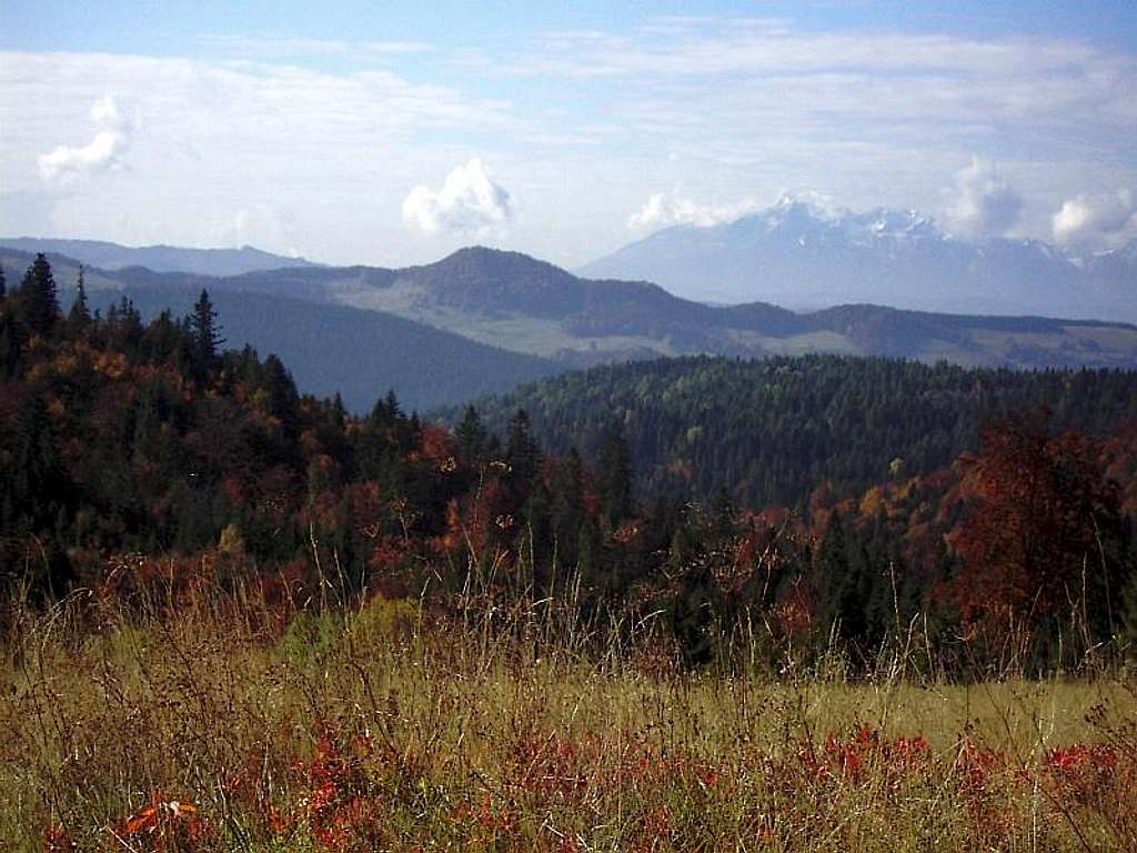 Forested Mountain in the middle of picture are Wysoka - highest point of Pieniny Moutains