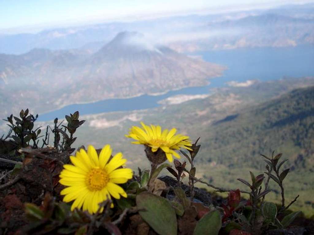 Volcan San Pedro viewed from Volcan Atitlan