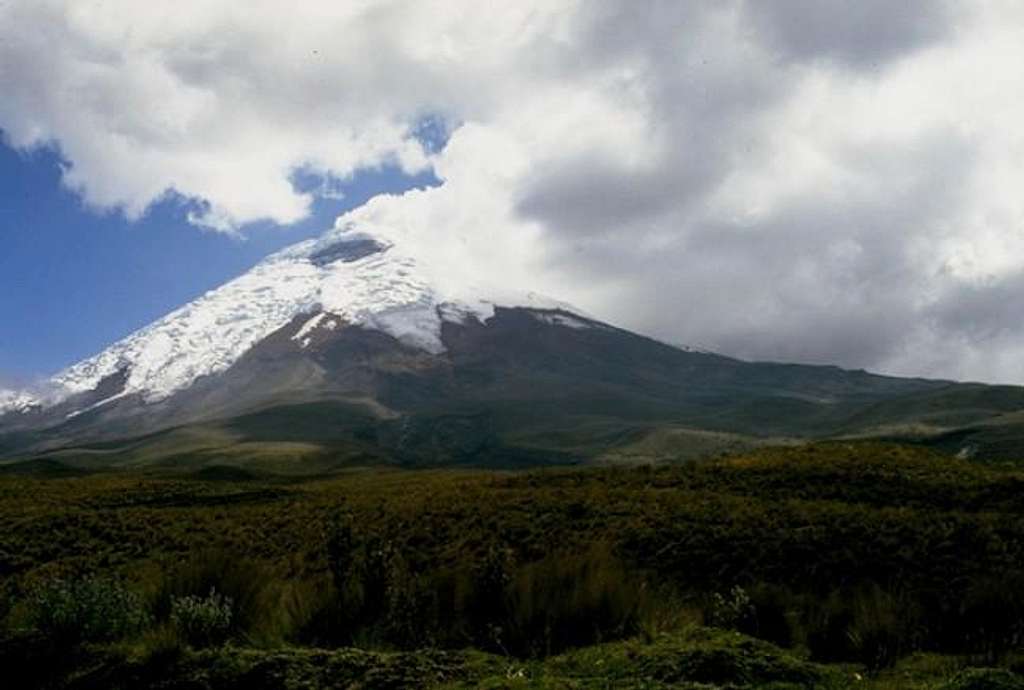 Cotopaxi from the park entry
