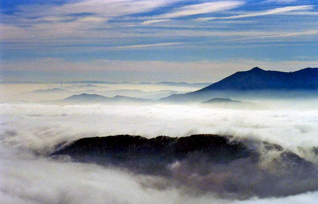 Mt. Tam from Big Rock Ridge