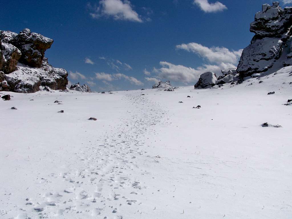 Hoof Tracks on North Tarryall Peak Summit Plateau