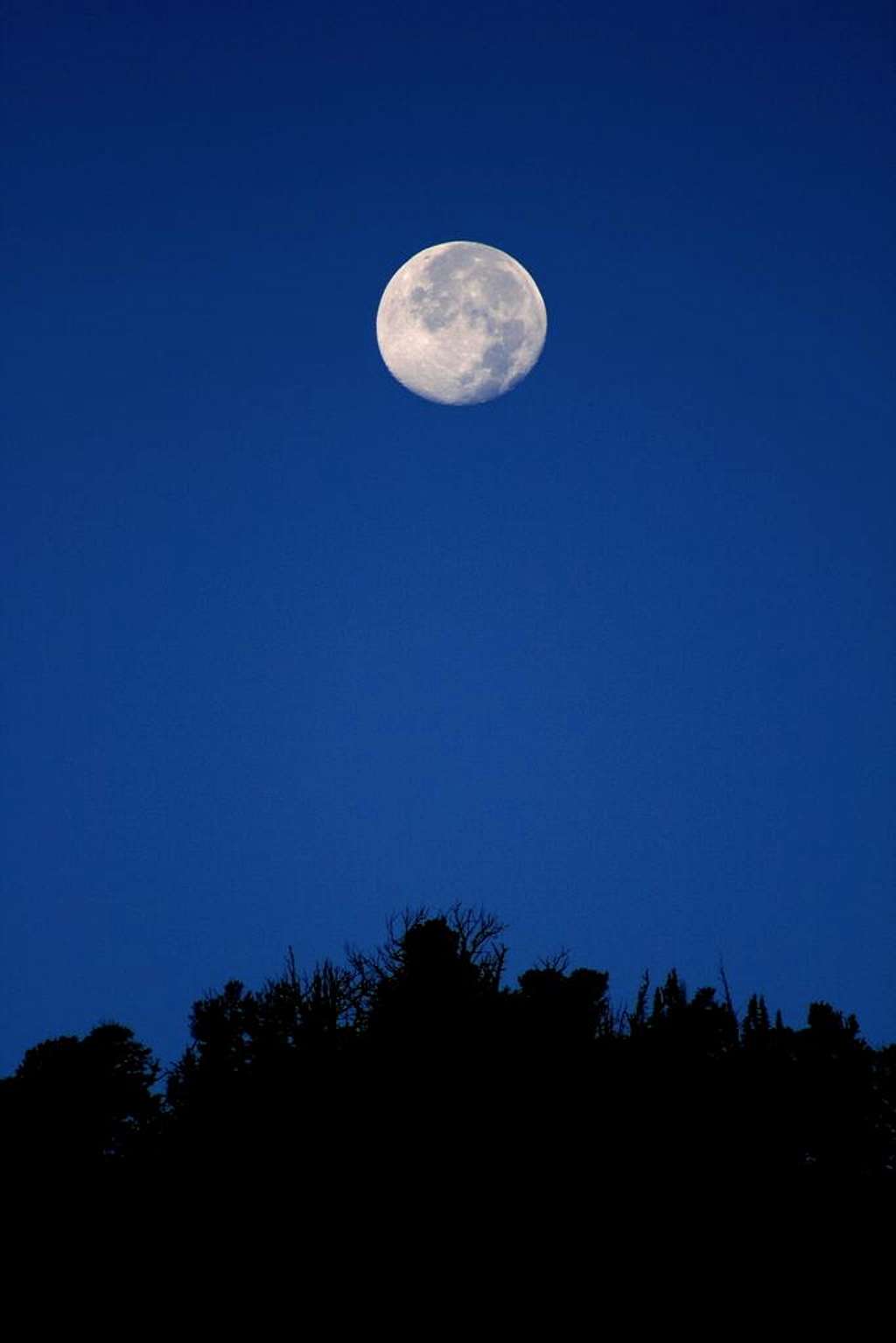 Moon over Mt. Evergreen.
