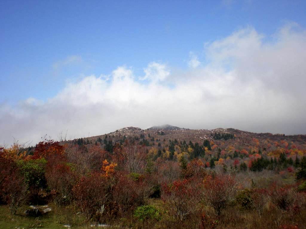 Autumn color along Wilburn Ridge