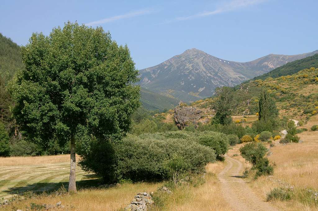 Arroyo de Valdenievas valley