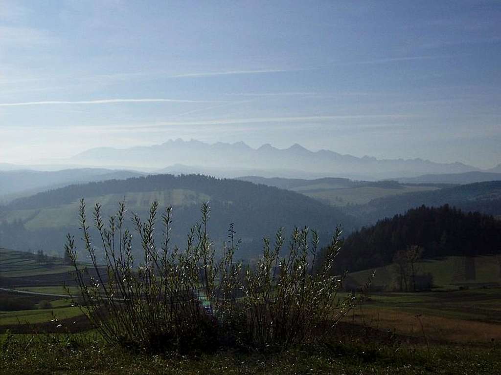 View of Tatra Mountains from Pieniny
