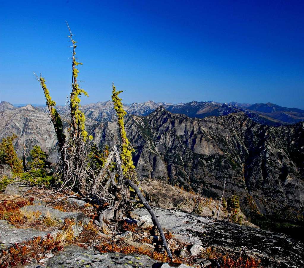 North View from the Summit