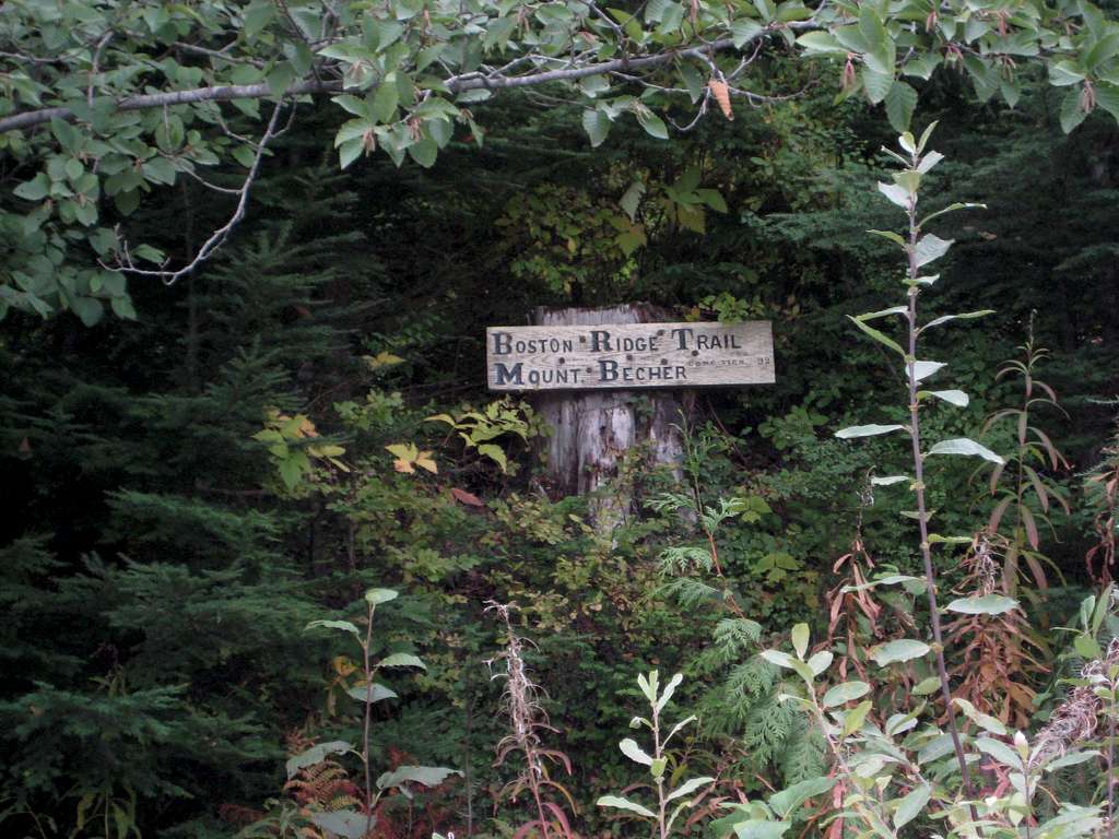 Boston Ridge/Mt Becher Trailhead