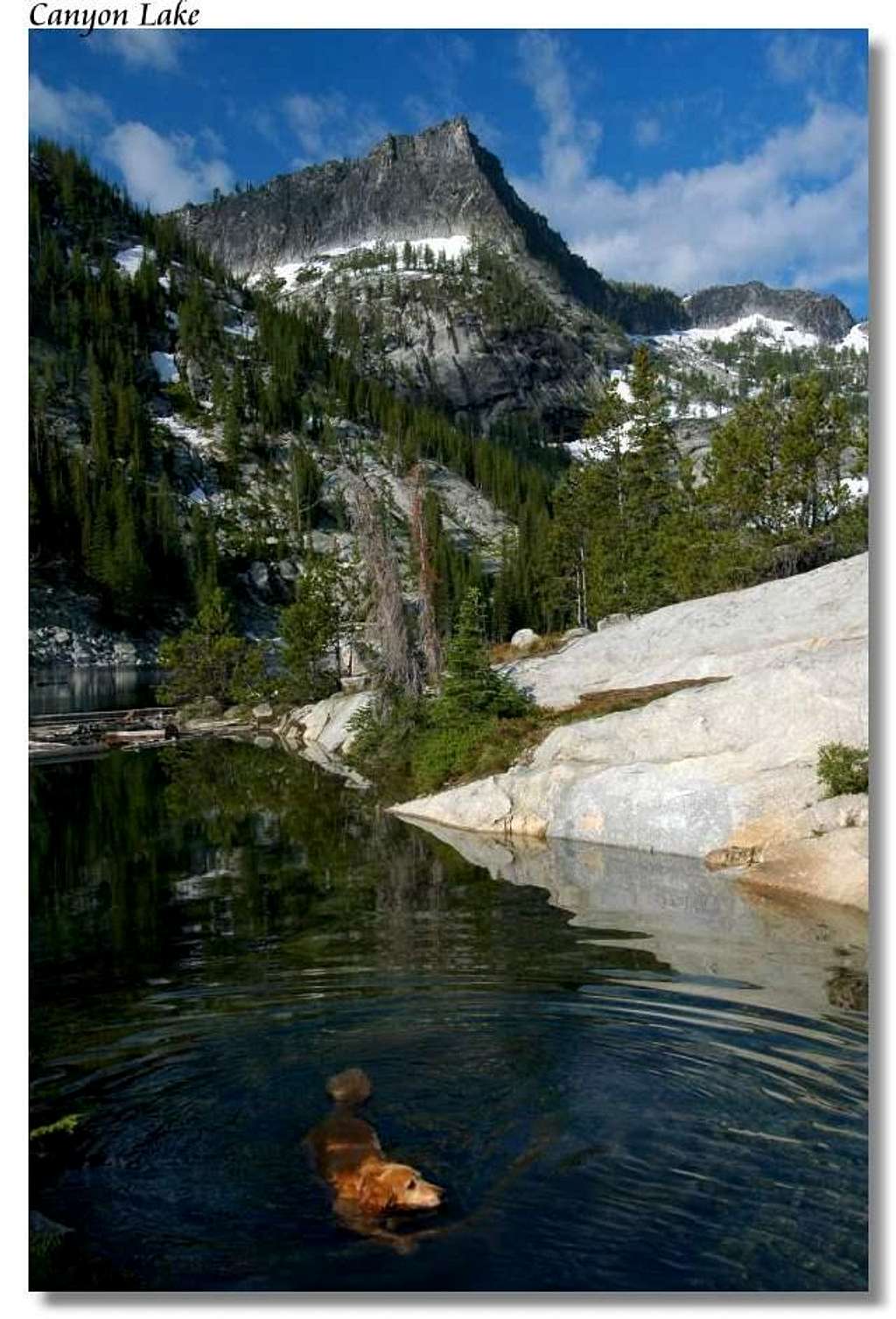 Canyon Lake with Golden