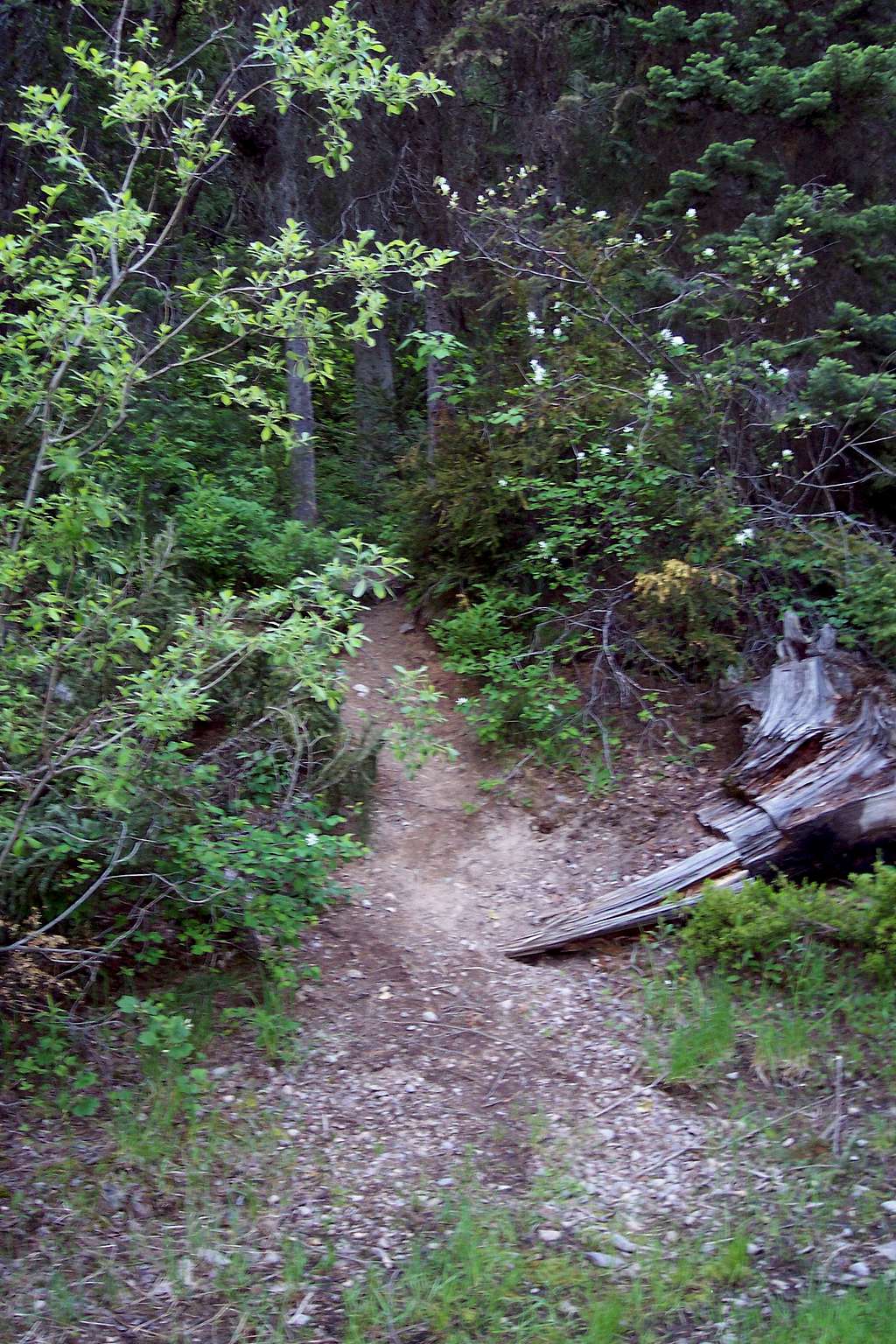 The Standard/Northwest Ridge Route Trail