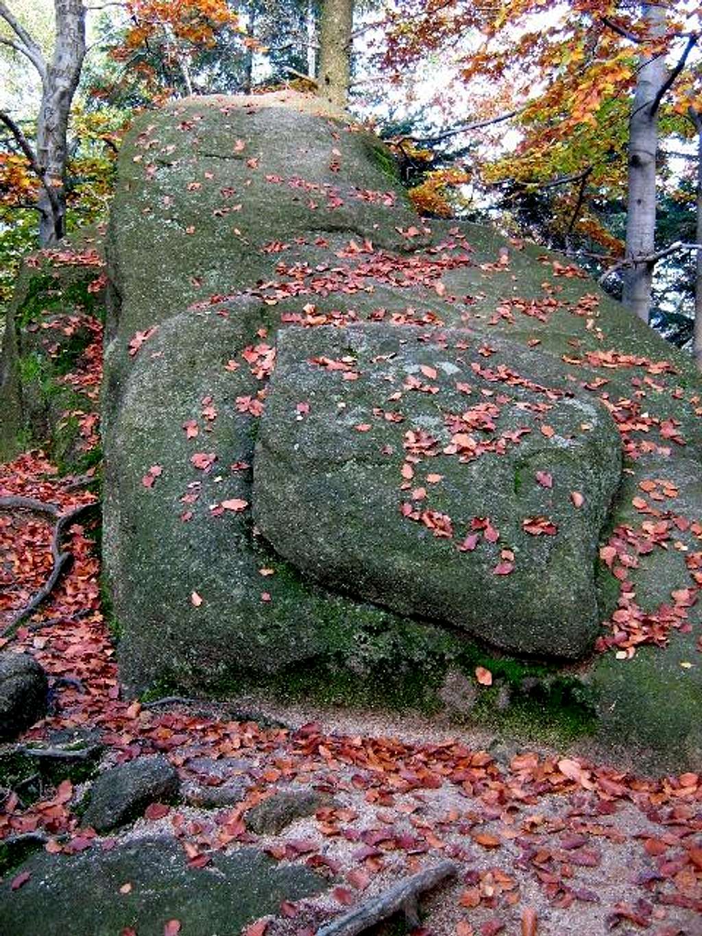 Sandstone Tor in Autumn