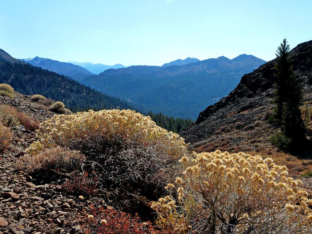 South from the saddle