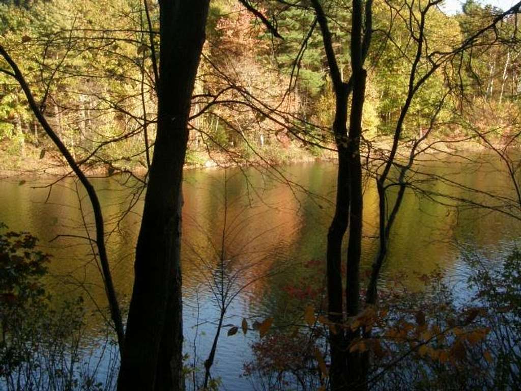 Walden Pond Colors