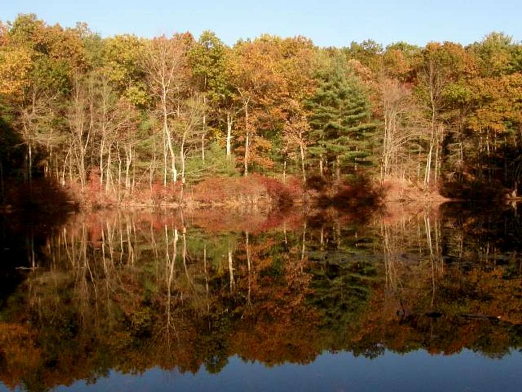 Walden Pond Reflections