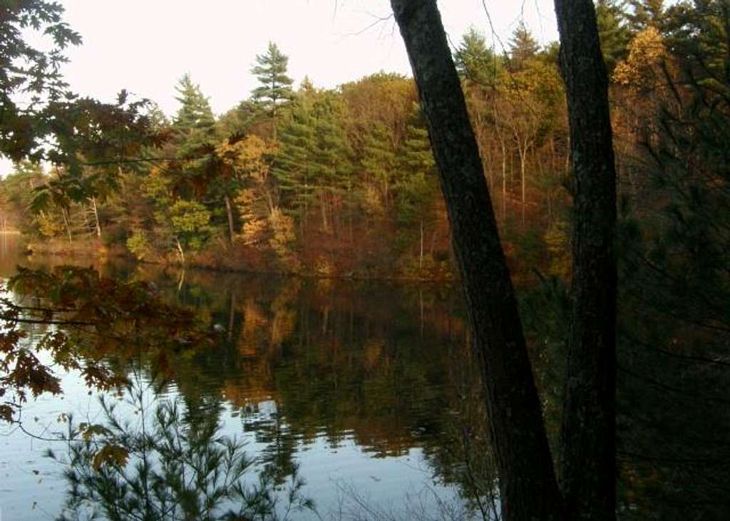 Serene Walden Pond