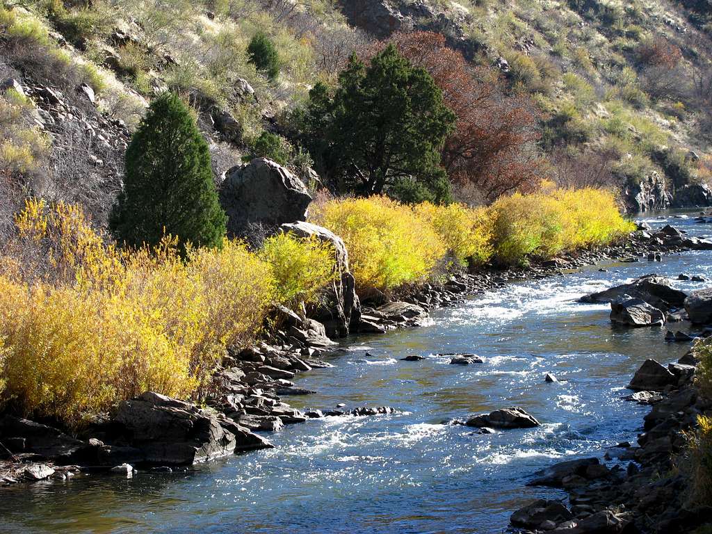 Changing of the leaves along the South Platte