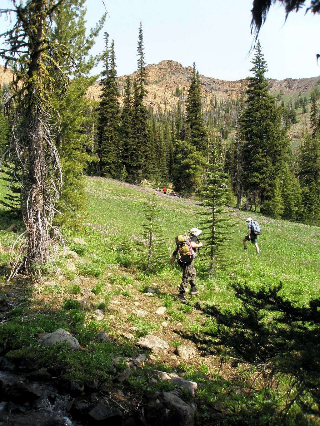 Bean Creek Basin