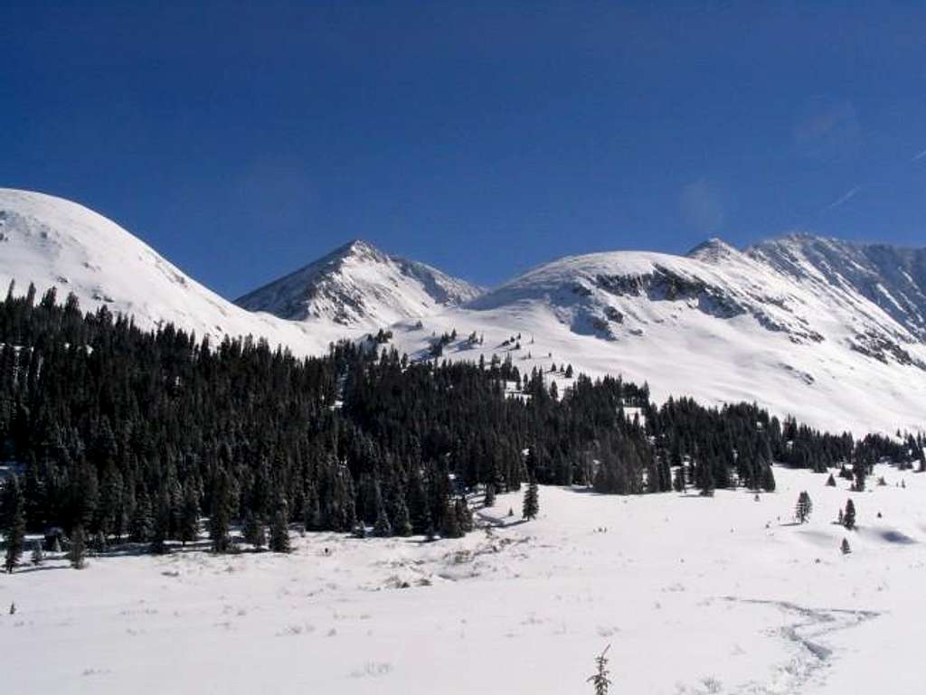 Pacific Peak looking up...