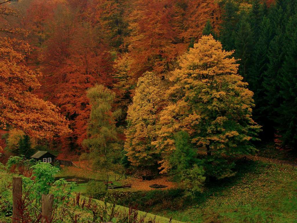 Little valley near Albrechtsberg (751m) in autumn colours