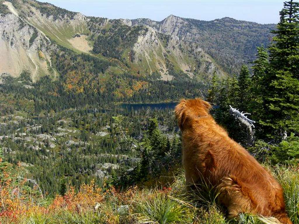 Pondering the view from Birch Point