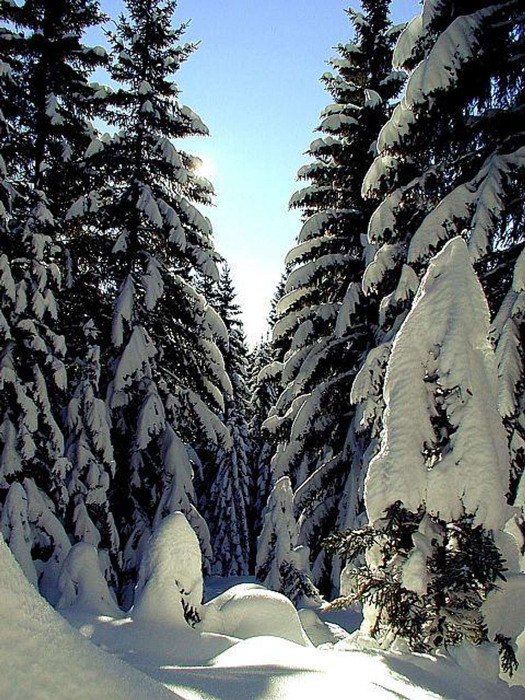 Winter below Konjscica....