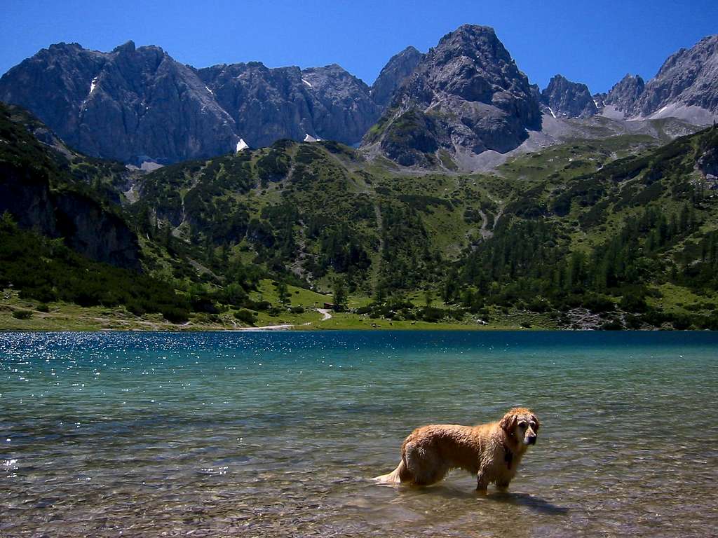 Seebensee with Milly