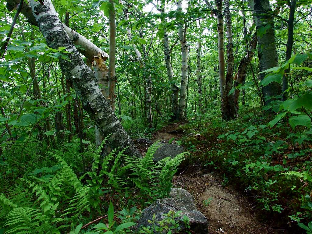 Trail to Rocky Peak Ridge