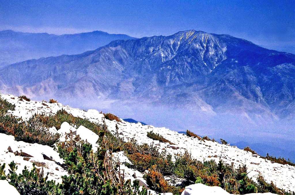 San Jacinto Peak from San Gorgonio Mtn.