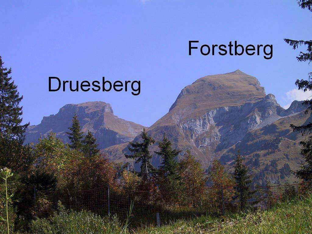 Drusberg + Forstberg