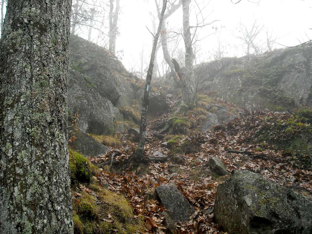 Maiden Cliff Trail
