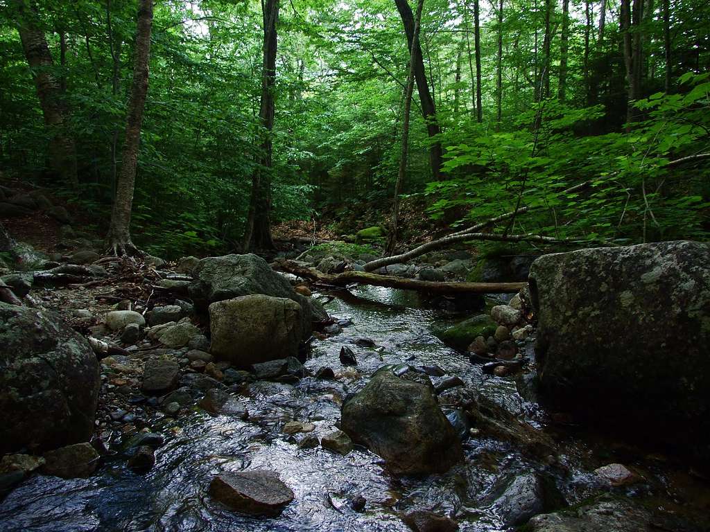 Brook in Grafton Notch