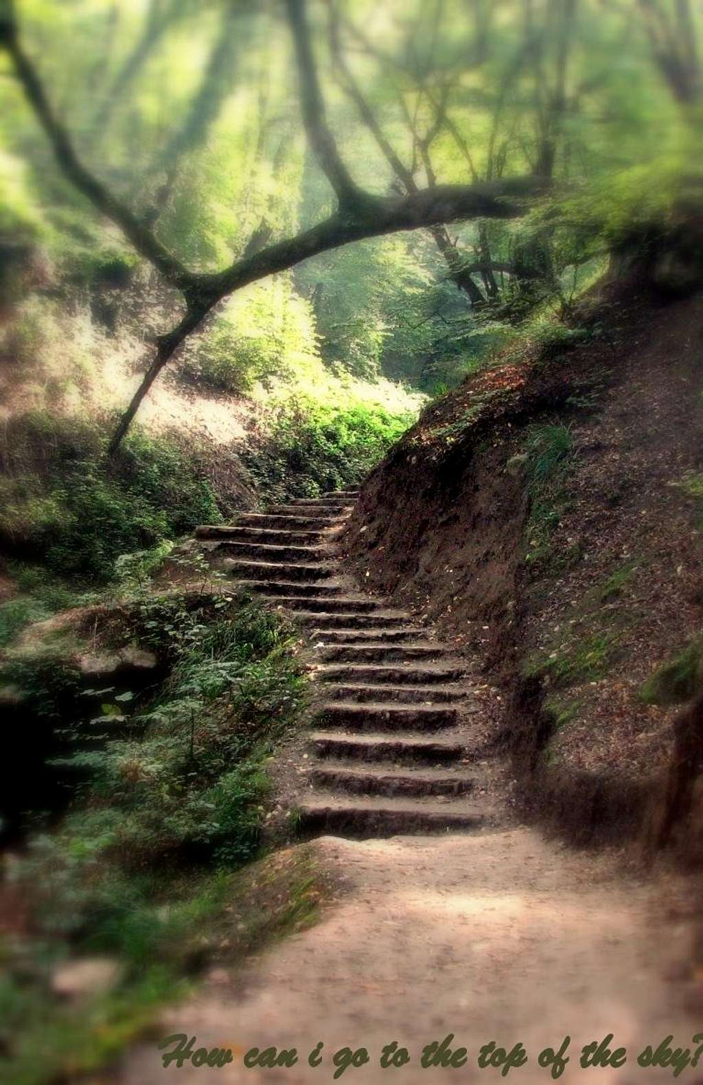 steps