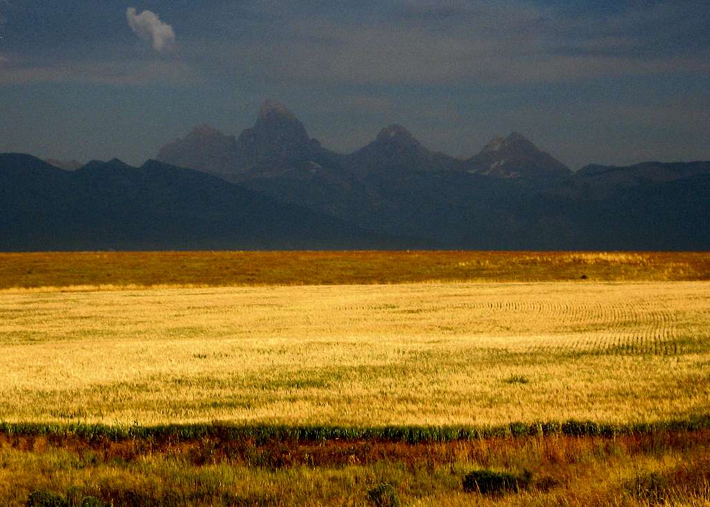 Wheat Fields and Teton Range