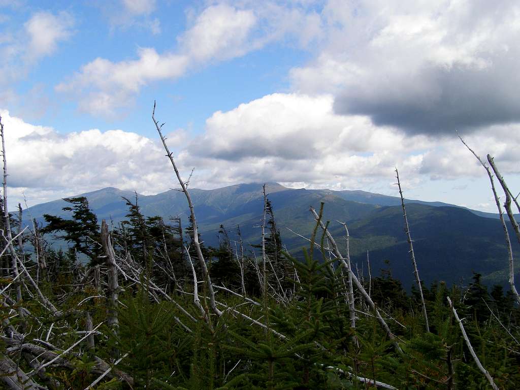 Near Summit of Mt. Tom, NH