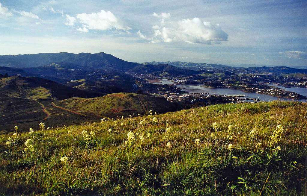 North from the Headlands