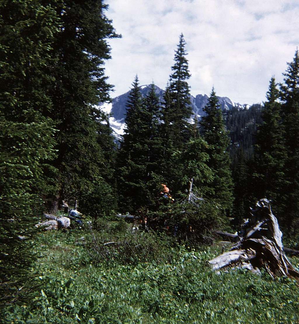 Rocky Mtn High 1973 - Coyote Park below Buchanan Pass
