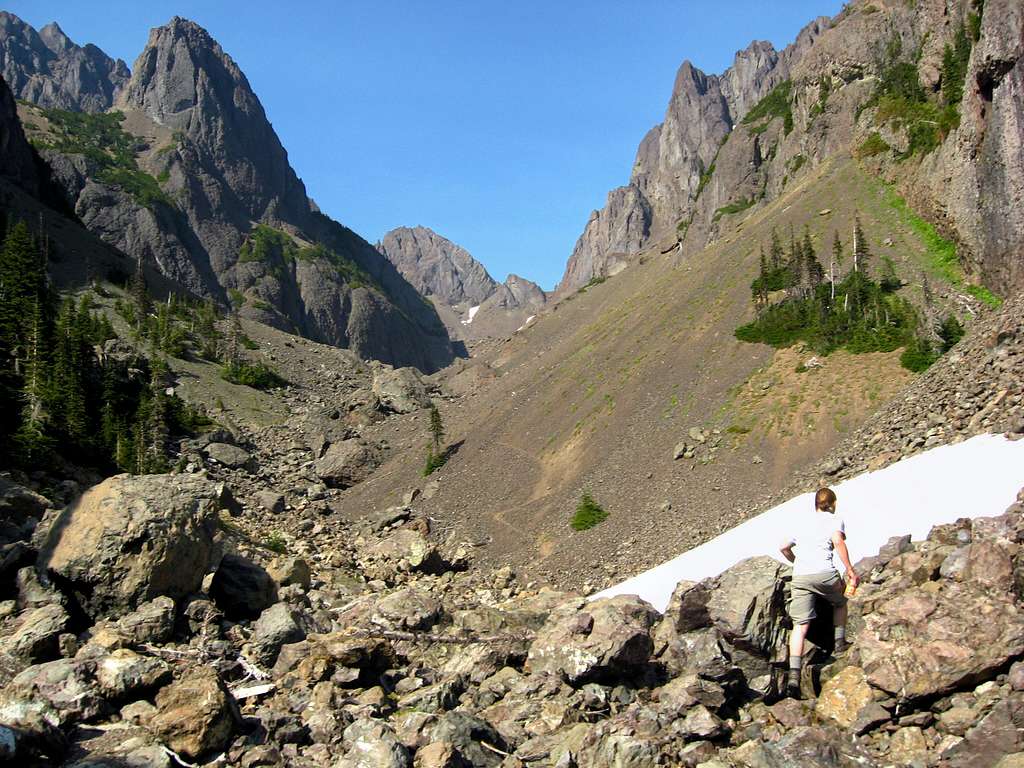 Avalanche chute above Lake Constance