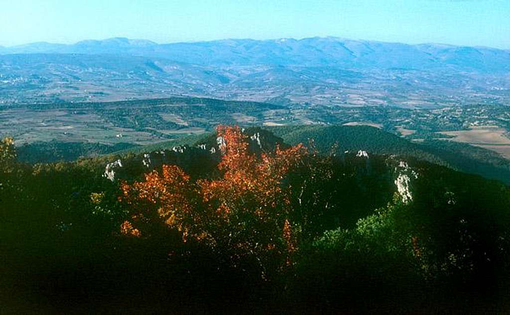 Montagne de Lure