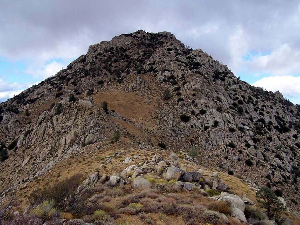 Nicolls Peak