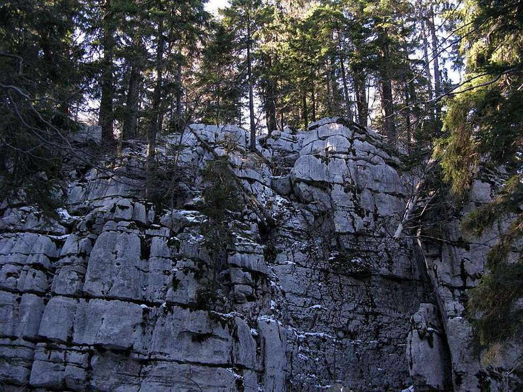 Beautiful rocks at Bitoraj forests