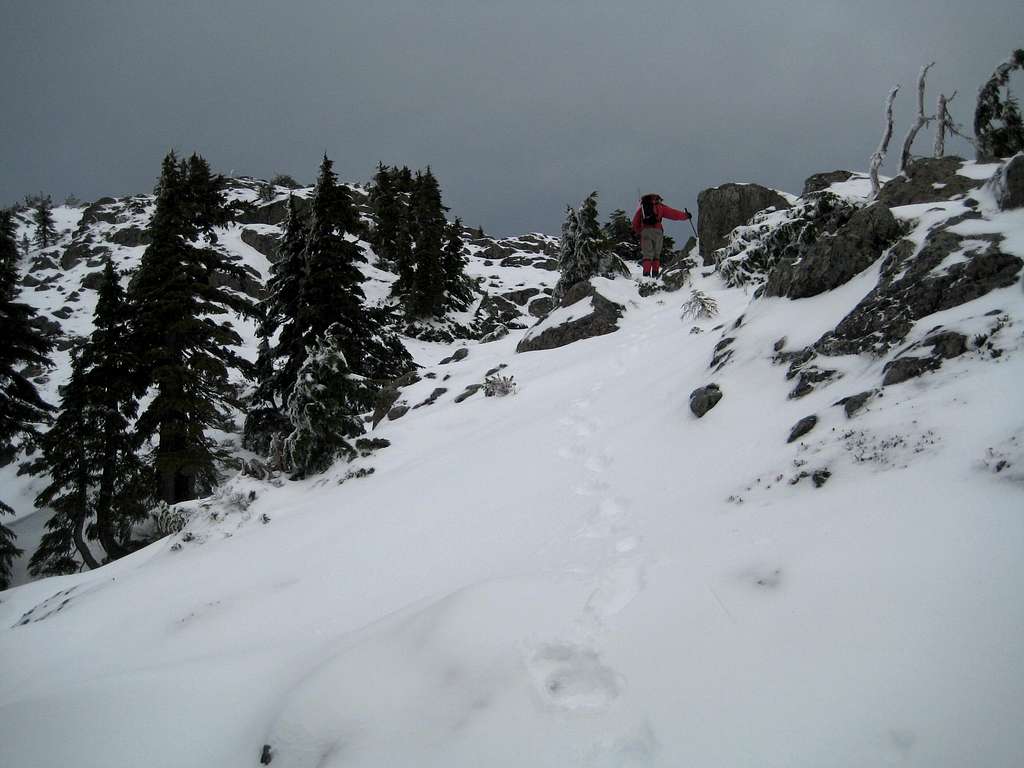 Approaching the Summit of Mt Landale