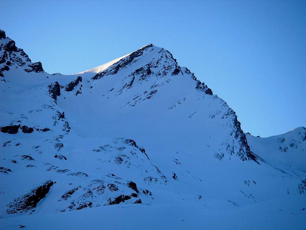 Gletscherhorn 3107m
