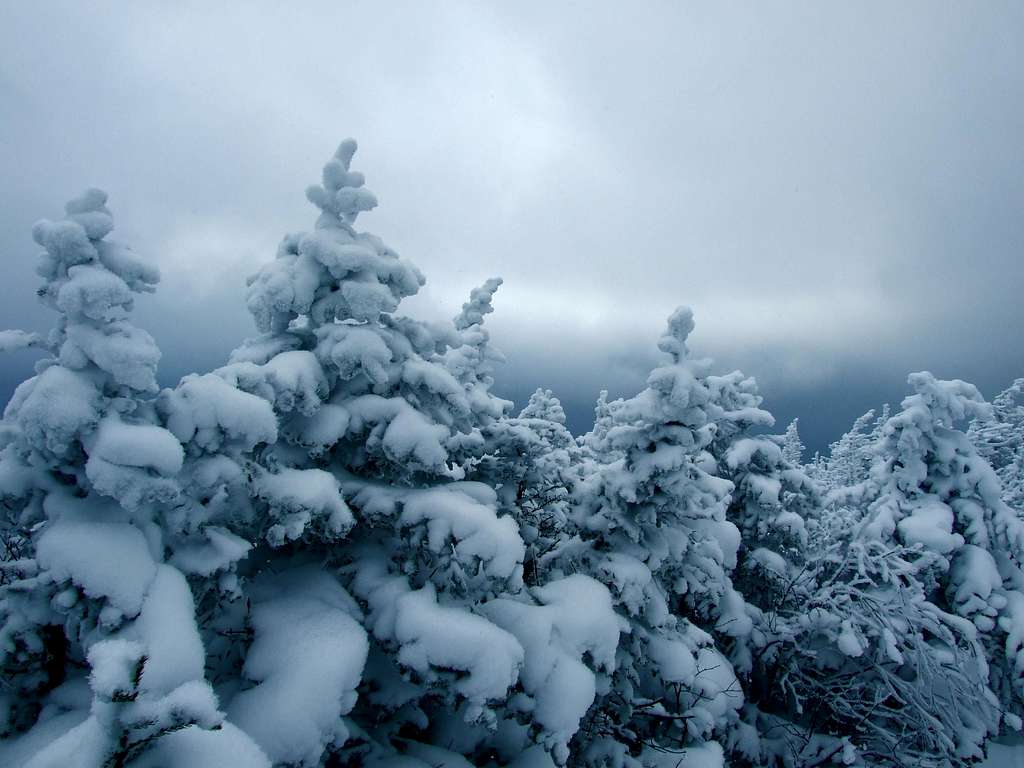 Winter Landscape On Panther Peak