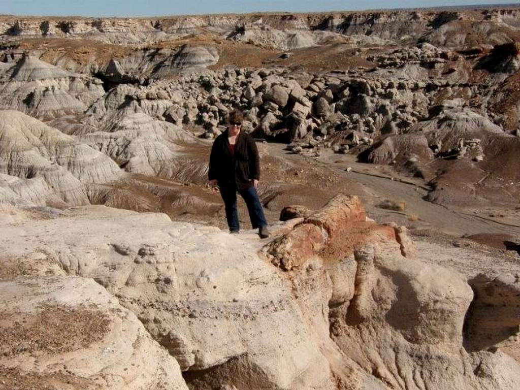 Me at Petrified Forest