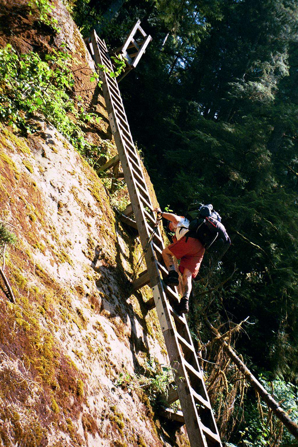 Steepest ladder on the trail