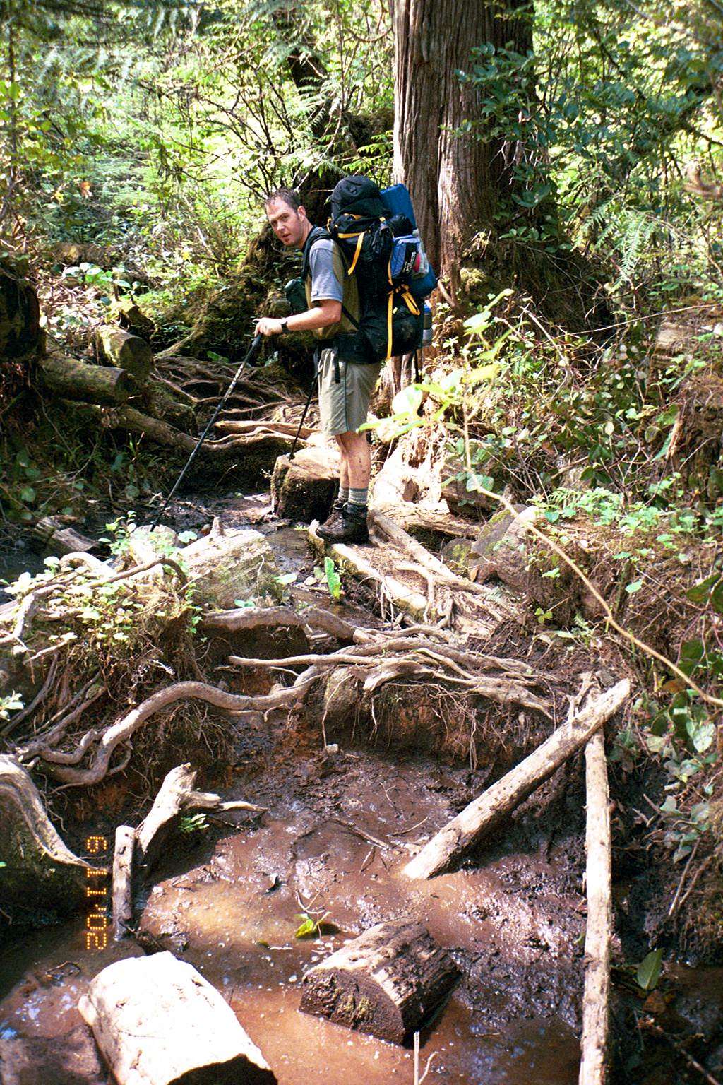 Typical bog crossing