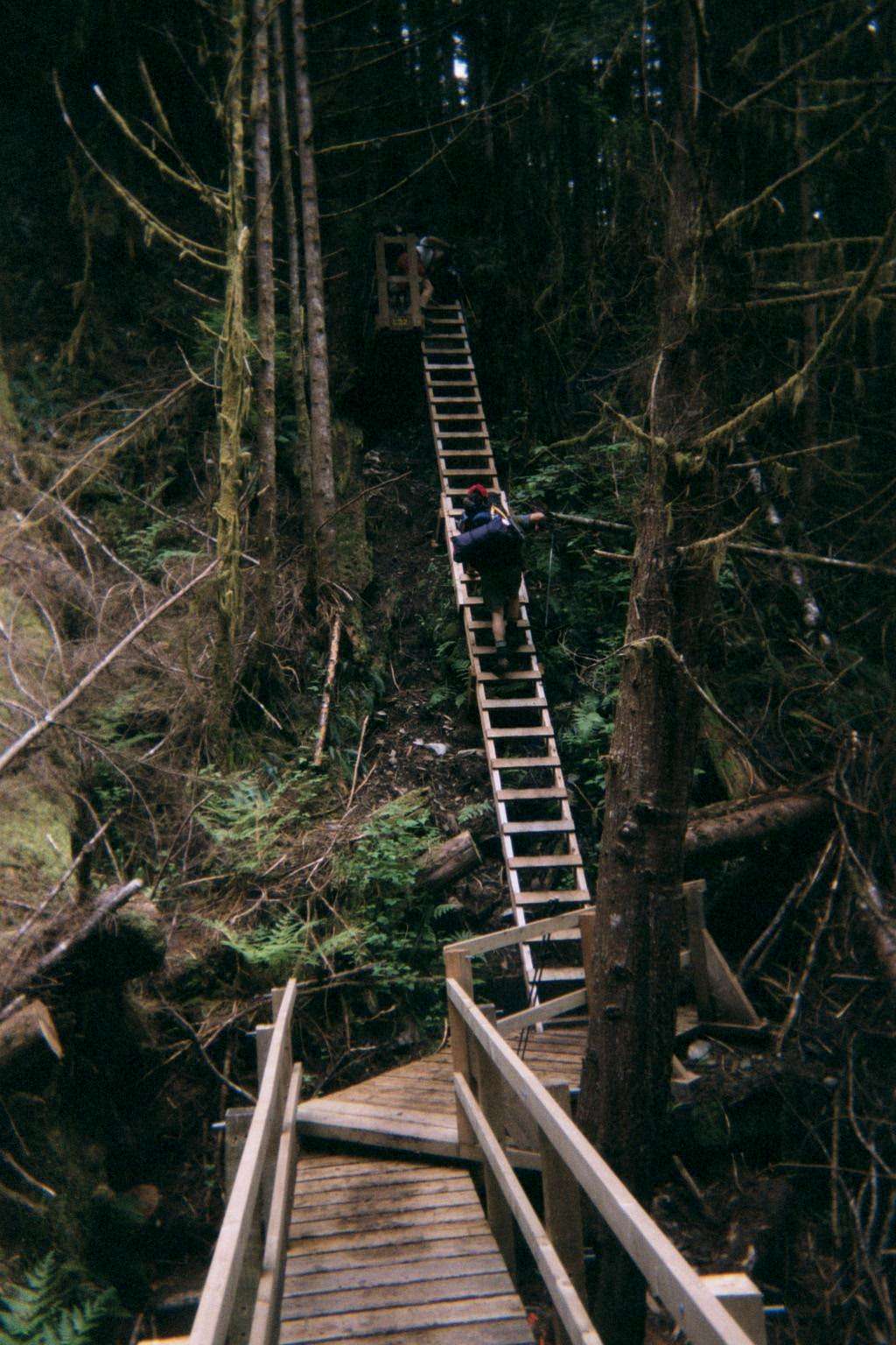 Boardwalk to Ladders