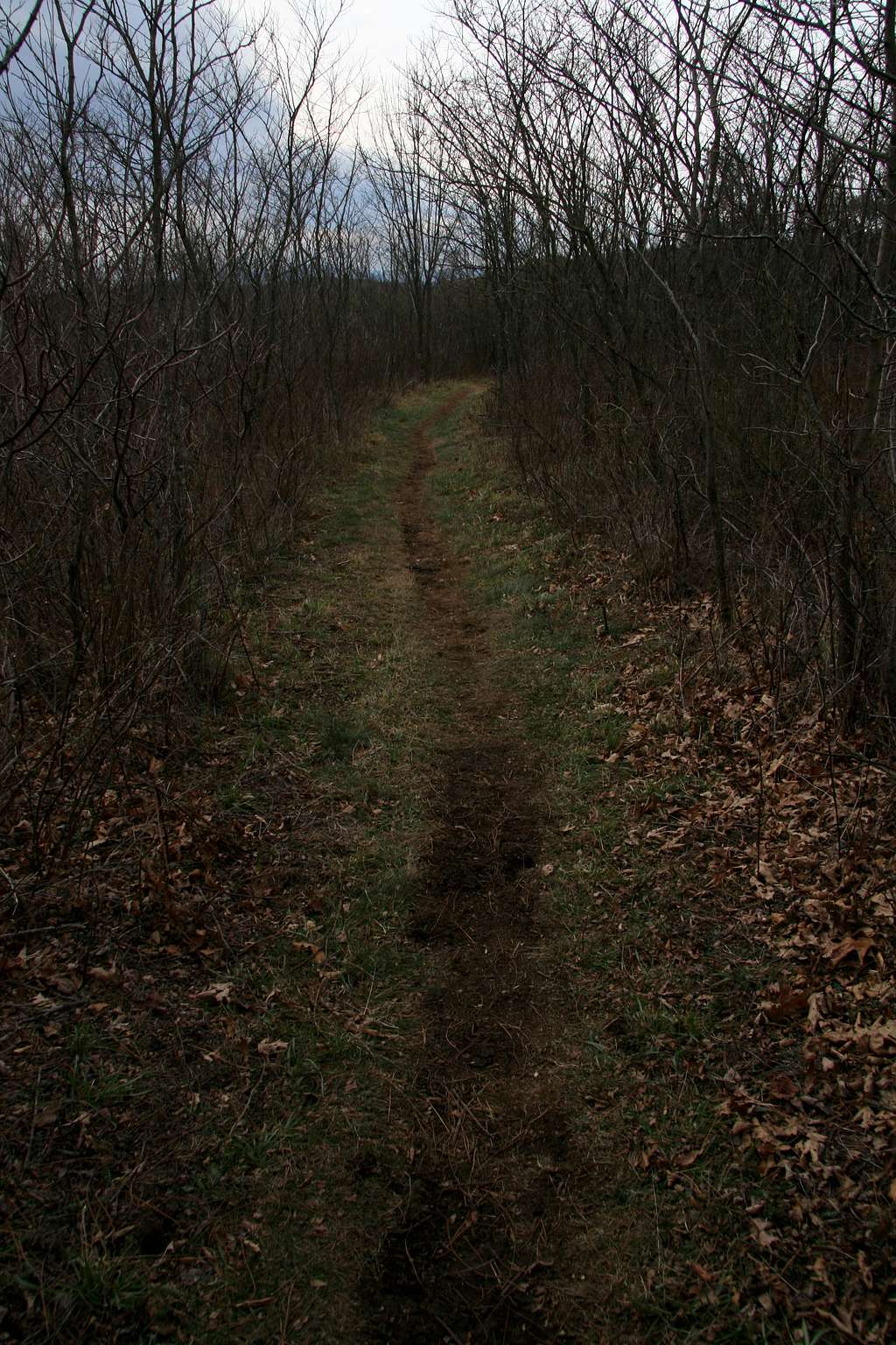 Appalachian Trail