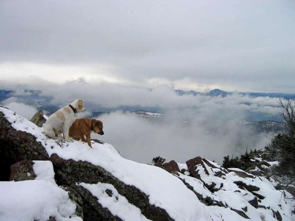 Dogs Raymond and Sopris on...